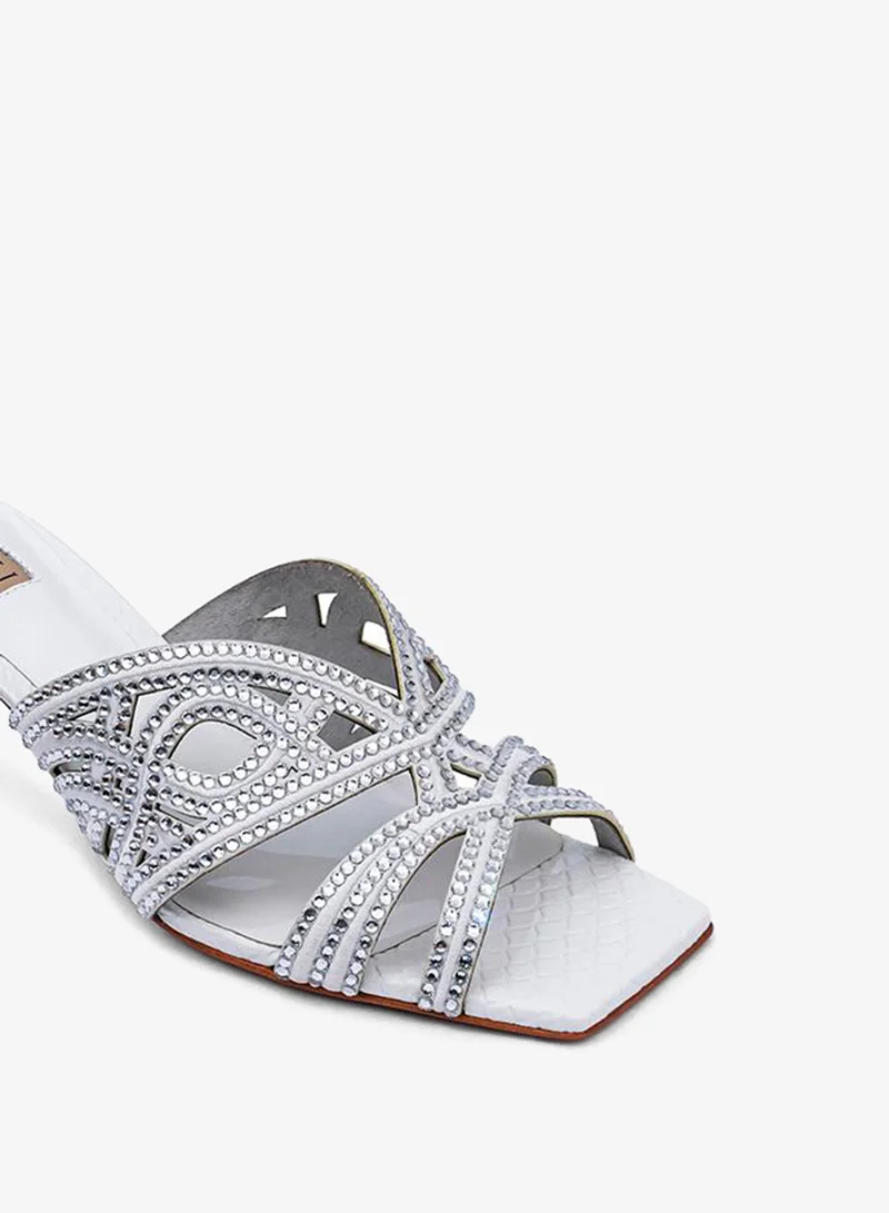 Nicoli  FENISIA for Women | Best Price UAE
