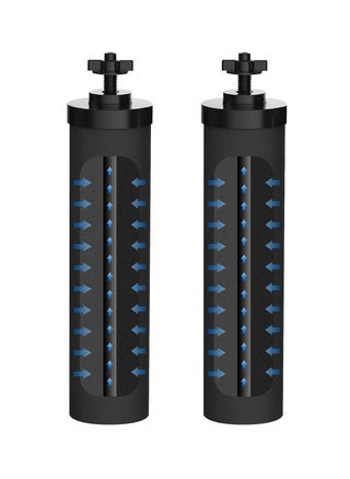 2 Pcs Premium Water Filter Black Active Carbon Element Cartridge Compatible with Berkey Countertop Water Purification System 2 9BB Purification Elements Certified by NSF ANSI 42 - pzsku/ZA4925A04431BEFC4FAAFZ/45/_/1709274162/81698c3f-1238-4a0c-b039-6e113362b55b