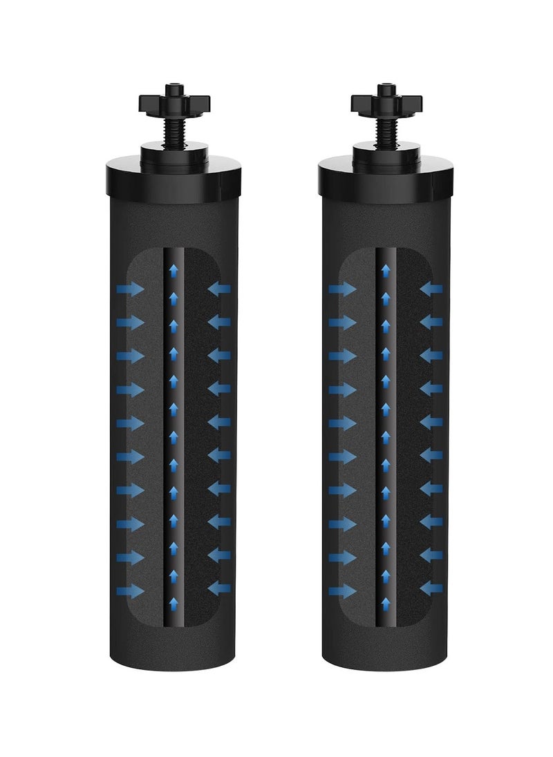 SYOSI - 2 Pcs Premium Water Filter Black Active Carbon Element Cartridge Compatible with Berkey Countertop Water Purification System 2 9BB Purification Elements Certified by NSF ANSI 42 - Image 1