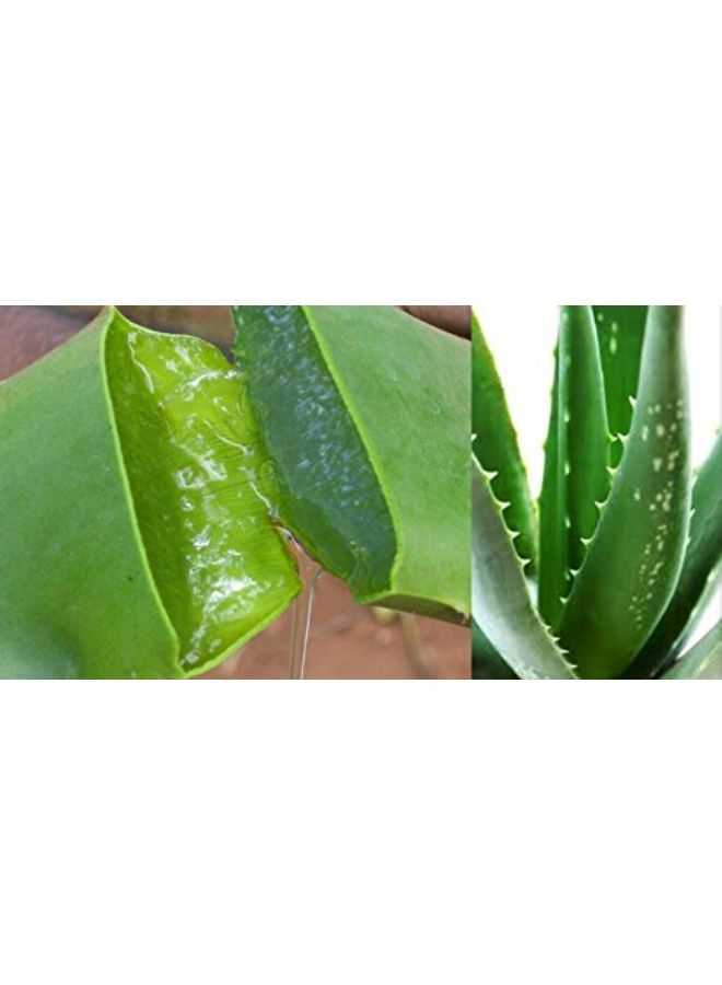 KAZIMA Aloe Vera Gel Raw - 100% Pure Natural Gel - Ideal For Skin, Face, Acne Scars, Hair, Moisturizer & Dark Circles (250 Gram)  - Image 5