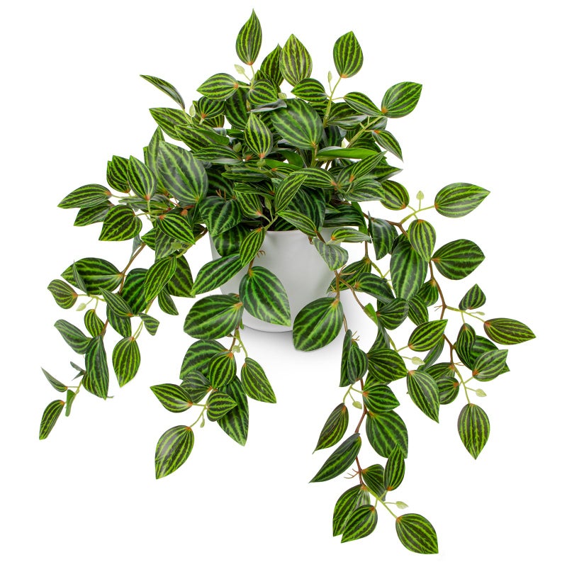 Briful Artificial Plants Indoor Fake Potted Silk Plants Faux Watermelon Peperomia Draping Plant for Home Office Bathroom Shelf Cabinet Tabletop Decoration(Green - 1 Pack) - Image 1