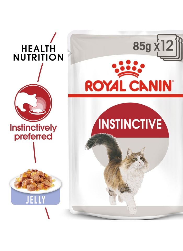 ROYAL CANIN Feline Health Nutrition Instinctive Adult Cats Jelly (WET FOOD - Pouches) 12 x 85g  - Image 1
