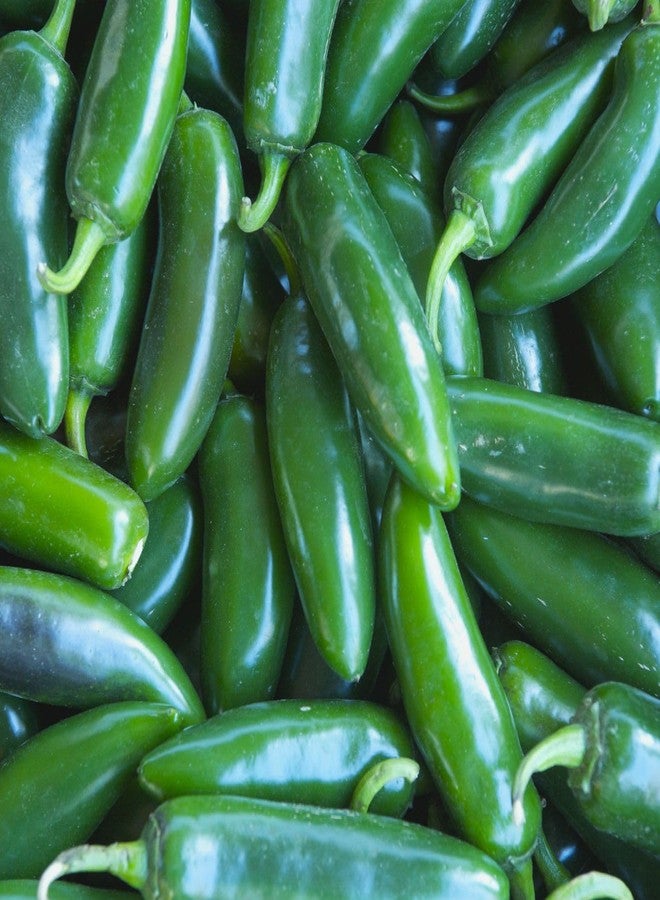 Kanthari Chilli (Bird Eye Chilli, Kanthari Mulaku) Green, Red Pack of 100 Seeds - Image 3