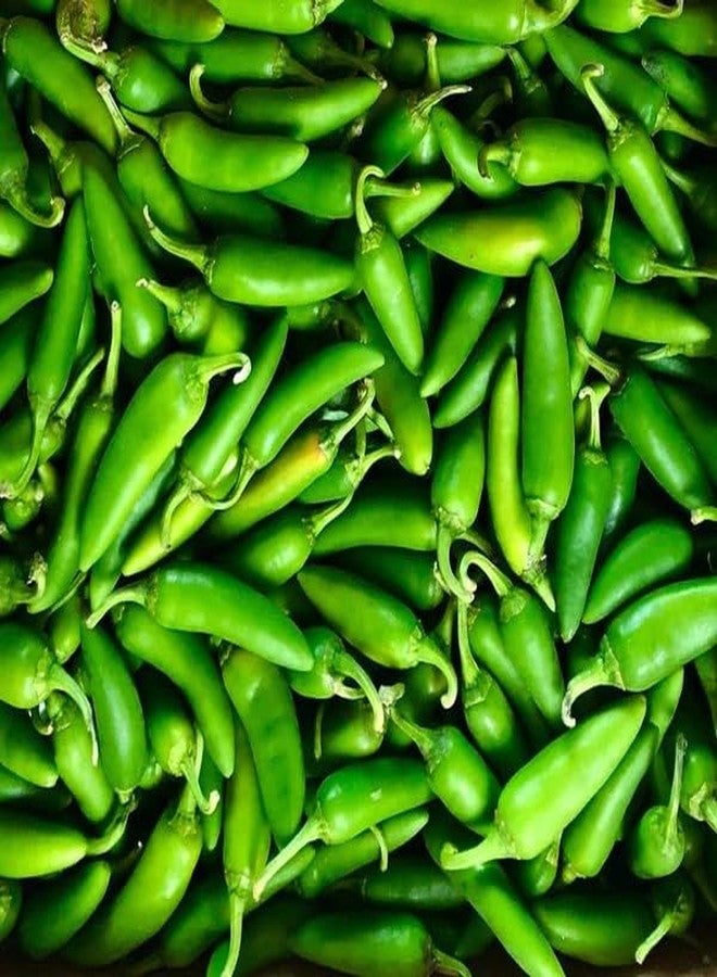 Kanthari Chilli (Bird Eye Chilli, Kanthari Mulaku) Green, Red Pack of 100 Seeds - Image 1