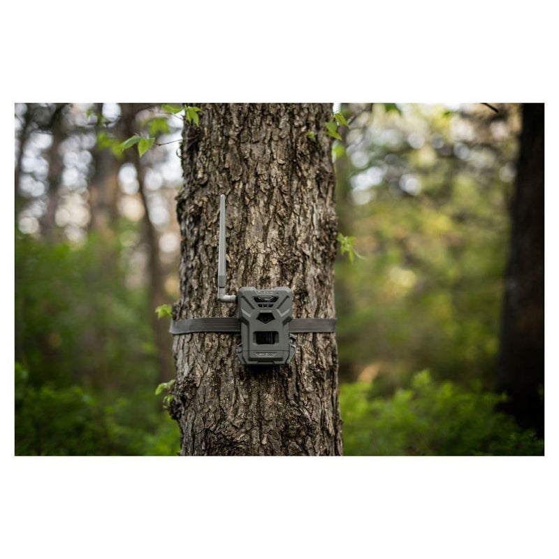 SPYPOINT Flex-M Twin Pack Cellular Trail Cameras - Best Hunting Accessories, No WiFi Needed, GPS, Night Vision, Dual-Sim LTE, IP65 Water-Resistant Game Camera, 28MP Photos, 720p Videos + Sound (2) - Image 2