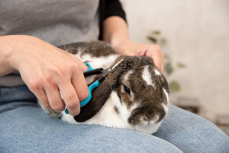 Trixie Face and Paw Scissor for Dog, 9 Cm - Image 5