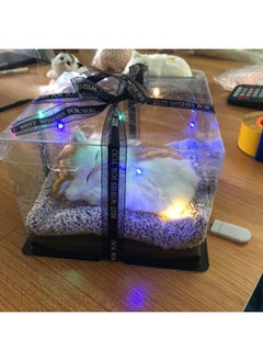 Generic Light Gift Box Simulation Cat To Send Girlfriends Children's Birthday Gift To Purify Air Car Ornaments-Color:Large Bamboo Charcoal White Fox + Gift Box + Lights  - Image 4