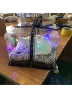 Generic Light Gift Box Simulation Cat To Send Girlfriends Children's Birthday Gift To Purify Air Car Ornaments-Color:Large Bamboo Charcoal White Fox + Gift Box + Lights  - Image 2