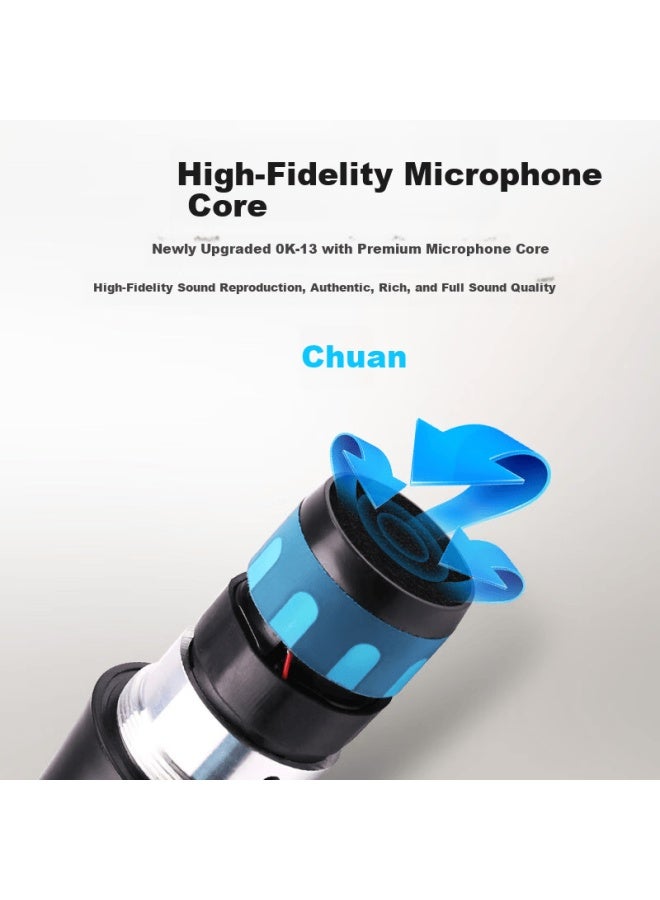 Sast Wireless Microphone Dual Transmitter Stage Host Performance Wedding Conference Classroom Anti-howling Home Karaoke Ktv Microphone Ok-13 - Image 3