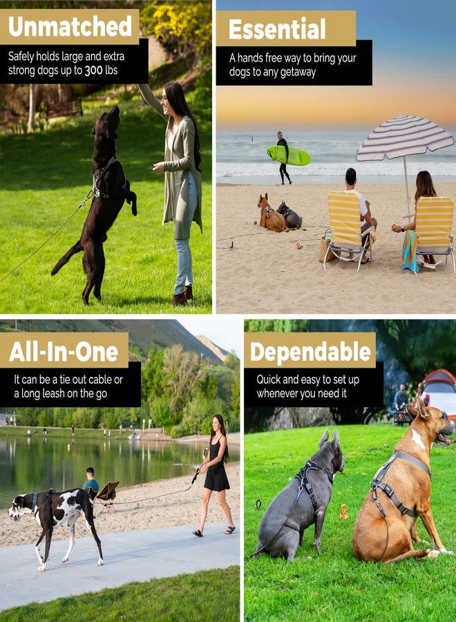 ROYAL PAW Dog Tie Out Cable - Tie Out Cable for Dogs (up to 300 lbs) - Use Dog Tie-Outs & Stakes for Outside - Best Heavy Duty Dog Leash for Large Dogs (30ft - Black Onyx) - Image 4