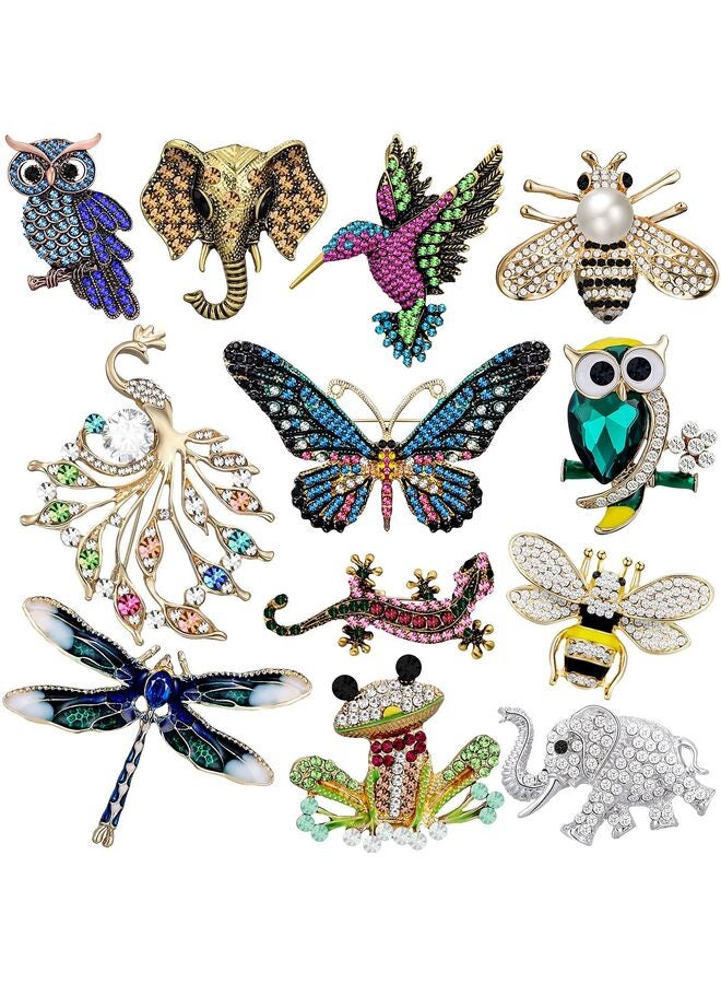 مجموعة مكونة من 12 قطعة من دبابيس النساء ذات الأحجار الكريمة، دبابيس كريستال عتيقة، دبابيس عتيقة للنساء والفتيات، هدايا عيد الأم - Image 1