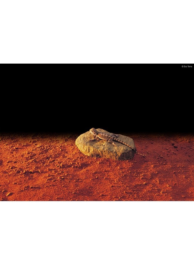 إكسو تيرا صخرة هيت ويف، مدرجة في قائمة التراث العالمي، صغيرة - Image 2