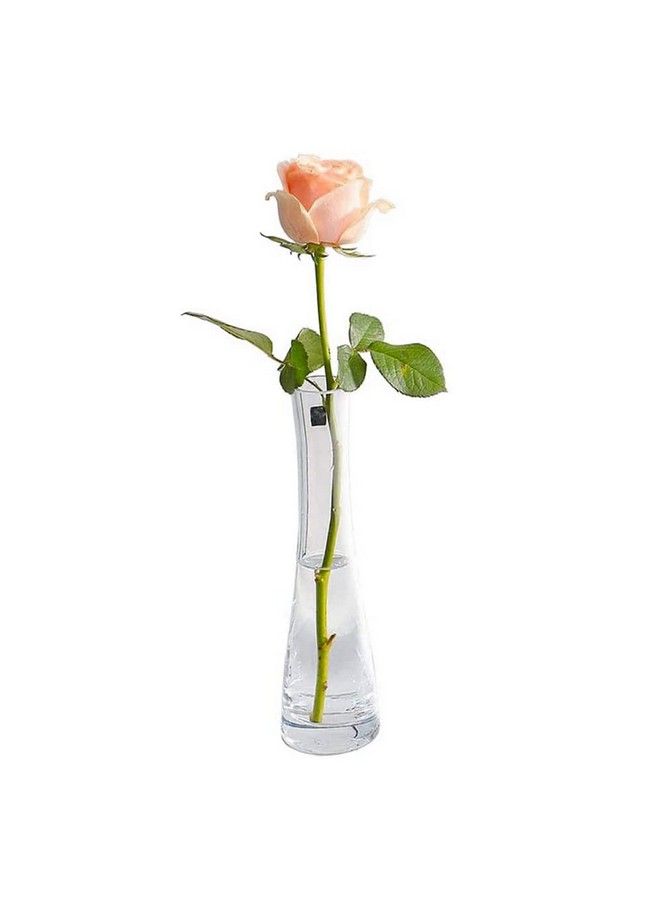 erioctry Single Bud Vase Handmade Blown Art Bud Glass Vase Clear Glass Flower Vase Single Stem Vase Container For Home And Office Décor Centerpiece For Wedding Party Event - Image 2