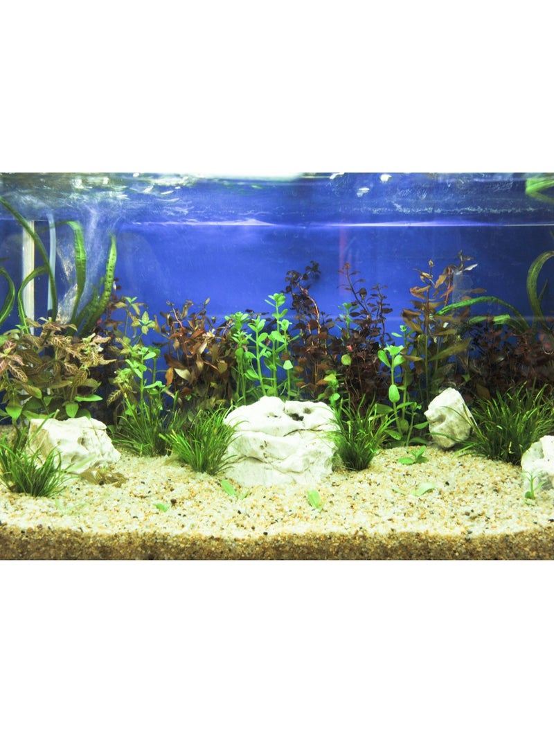 ڤسيل24 رمل الكريستال 2-4 مم: مثالي لتزيين أحواض السمك، وتنقية المياه، والتراريوم، والحرف اليدوية، وركائز أحواض السمك الطبيعية. - Image 2