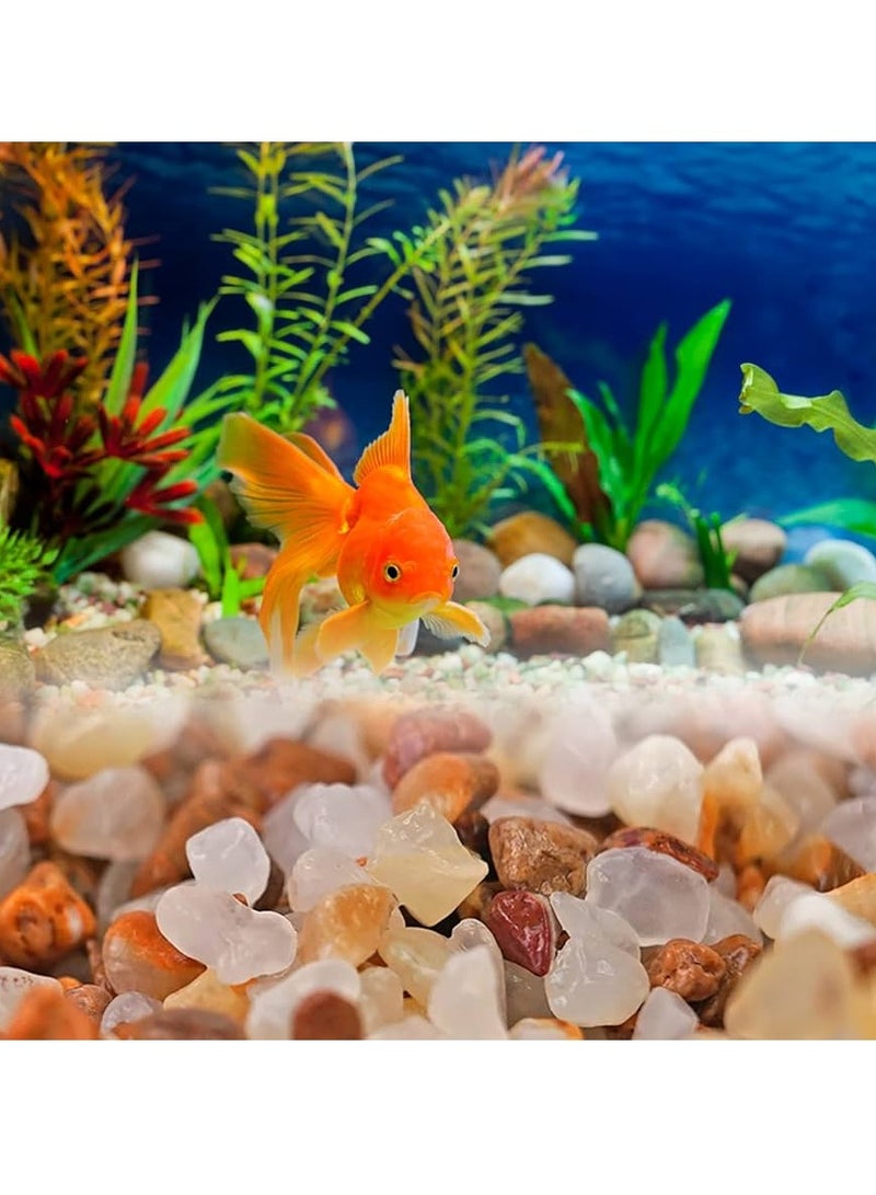 ڤسيل24 رمل الكريستال 2-4 مم: مثالي لتزيين أحواض السمك، وتنقية المياه، والتراريوم، والحرف اليدوية، وركائز أحواض السمك الطبيعية. - Image 3