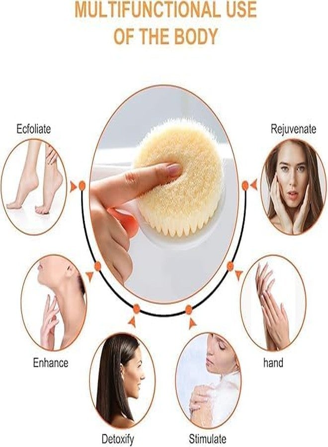 JAMBUVANTI Multipurpose Bath Body Brush Bath Body Brush with Soft Comfortable Bristles Long Handle, Dry Brushing Back Scrubber for Shower for Men and Women, BPA free, Non-Slip 1 PCS - Image 4