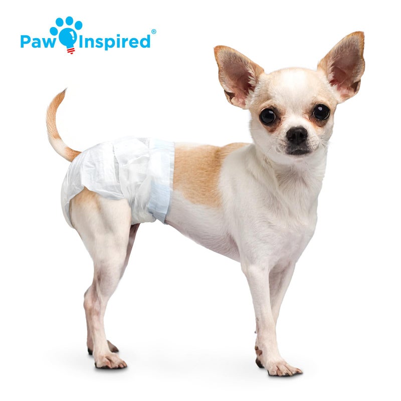 Paw Inspired Disposable Dog Diapers, Female Dog Diapers Ultra Protection, Diapers for Dogs in Heat, Excitable Urination, or Incontinence, XXS 32 Count - Image 4