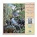 SUNSOUT INC Bear Pause 500 pc Jigsaw Puzzle by Artist James Meger Finished Size 18 x 24 MPN 28428 - Image 2