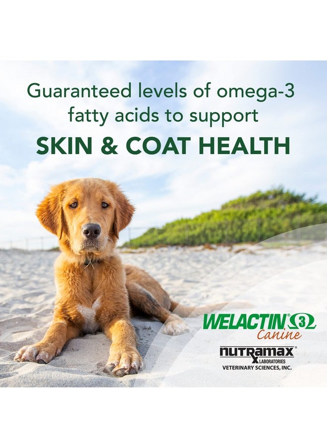 Nutramax Laboratories Nutramax Welactin Omega-3 Fish Oil Skin and Coat Health Supplement Liquid for Dogs - 3 Pack, 360 Total Softgels  - Image 1