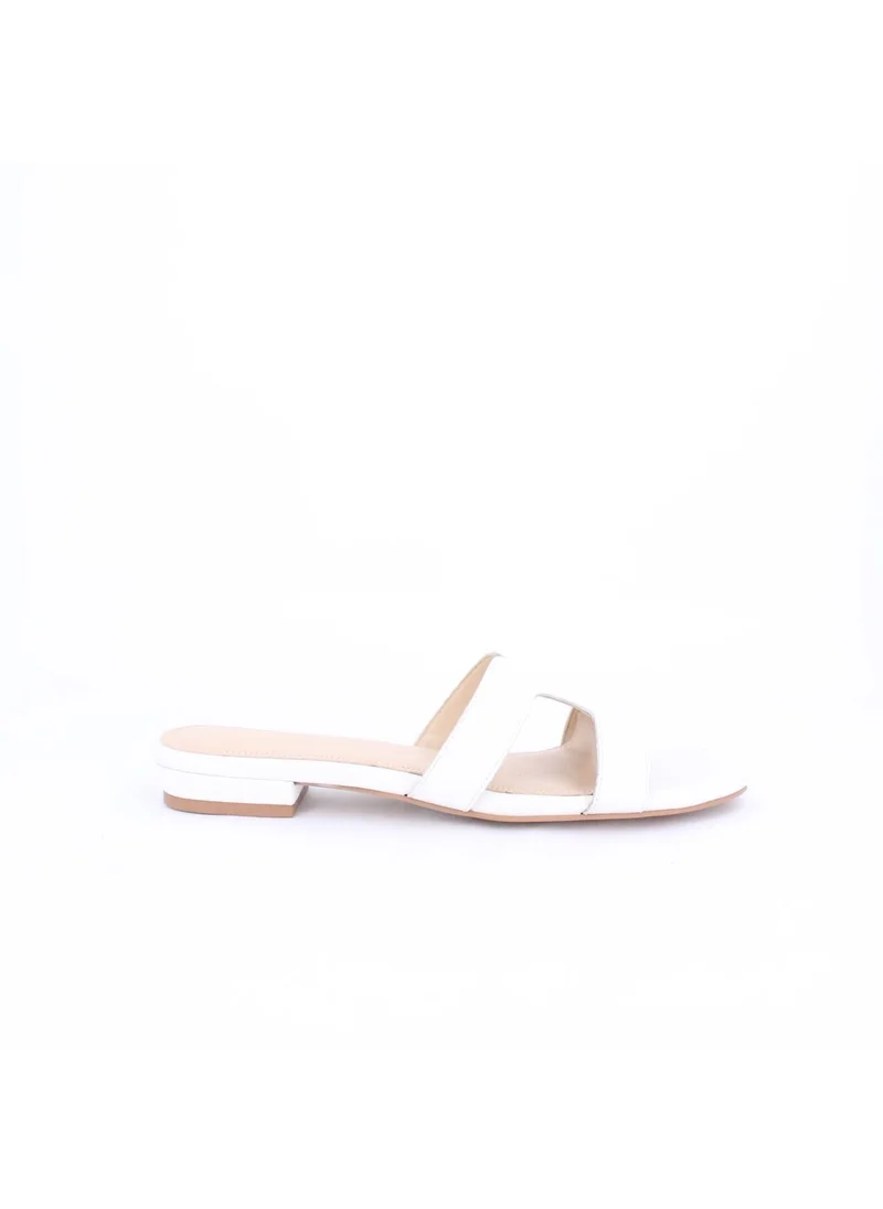 milano ELAYZA Slides