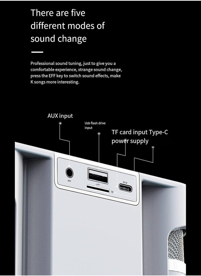 ELTRAZONE Karaoke Machine with 2 Wireless Microphones – Portable Bluetooth PA Speaker with Echo & Vocal Cut – Supports TF, AUX-in, USB Flash Disk – Perfect for Indoor & Outdoor Parties, Family Karaoke Singing  - Image 5