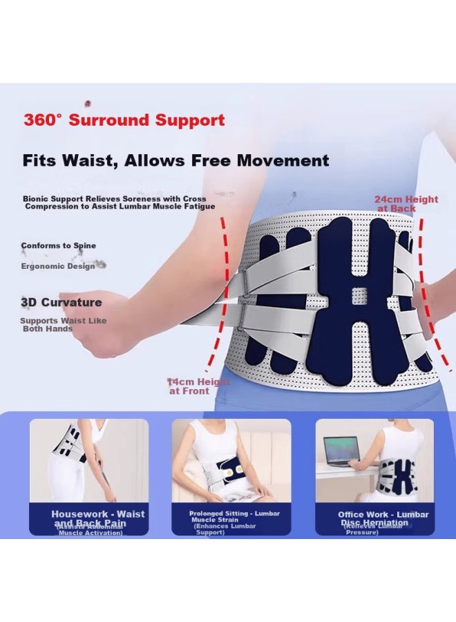Propard Medical Grade Lumbar Support Belt Waist Brace For Lumbar Muscle Strain And Herniated Disc Back Brace For Prolonged Sitting - Image 2