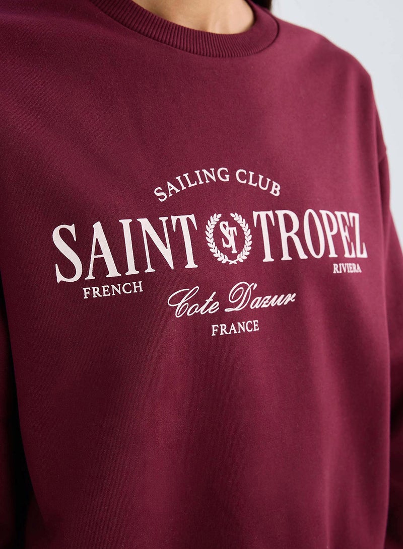 DeFacto Regular Fit Crew Neck Printed Lightweight Sweatshirt - Image 3
