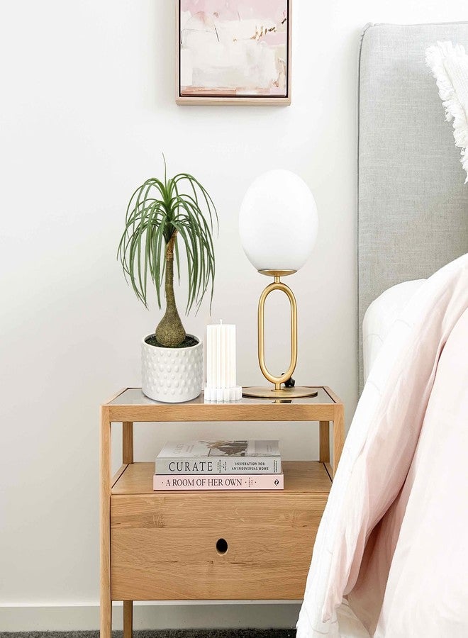 Hollyone Fake Plants Artificial Potted Plants Artificial Ponytail Palm Plant in Pots Faux Bonsai Plants for Office Table Desk Shelf Bathroom Bedroom Greenery Decoration Room Indoor Home Decor - Image 4