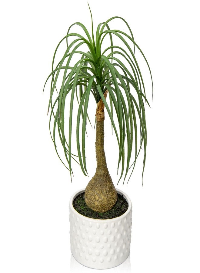Hollyone Fake Plants Artificial Potted Plants Artificial Ponytail Palm Plant in Pots Faux Bonsai Plants for Office Table Desk Shelf Bathroom Bedroom Greenery Decoration Room Indoor Home Decor - Image 1
