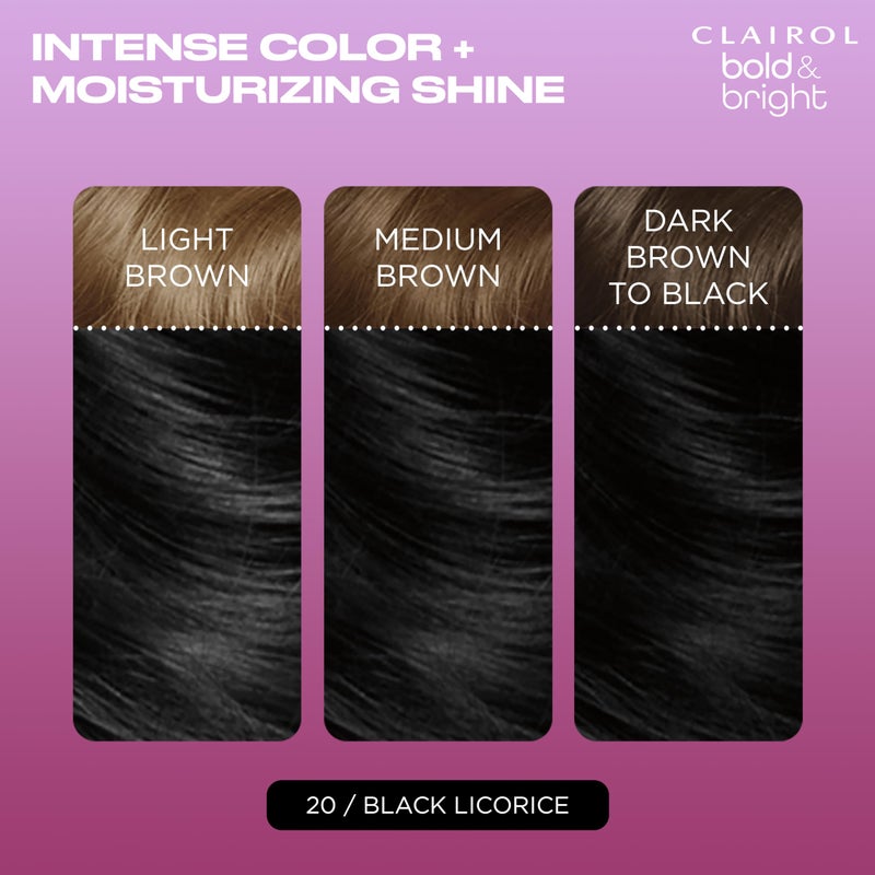 Clairol Bold & Bright Permanent Hair Dye, 20 Black Licorice Hair Color, Pack of 1 - Image 3