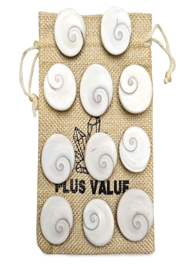 Plus Value 100% Natural Rare Gomti Gomati Chakra Original for Prosperity & Good Health | Vastu Product & Astrological Remedies from Gomthi River (11pcs) - Image 4