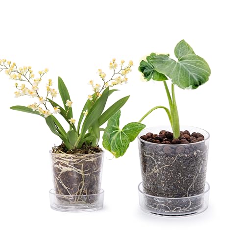 Phoenix Vine 3.5 Inch 4.5 Inch Clear Acrylic Houseplants Planter Pot with Tray, Orchid Pot with Drainage Holes, Deep Saucer for Bottom Watering, Transparent Containers for Indoor Plants, Herbs, 91-B-V - Image 1