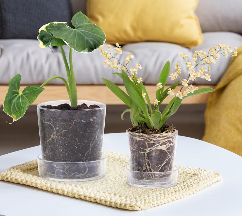 Phoenix Vine 3.5 Inch 4.5 Inch Clear Acrylic Houseplants Planter Pot with Tray, Orchid Pot with Drainage Holes, Deep Saucer for Bottom Watering, Transparent Containers for Indoor Plants, Herbs, 91-B-V - Image 2