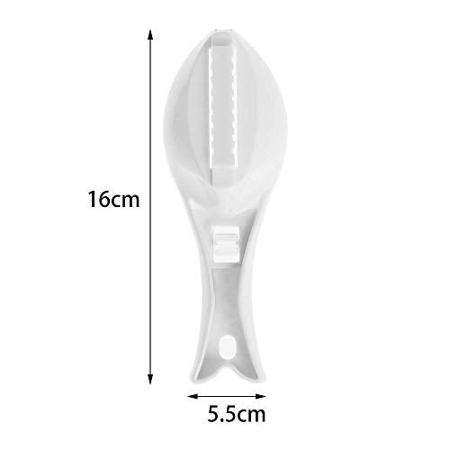 EASY SHOPE Fish Scale Scraper,Fish Scaler Sawtooth Scale Descaler Scraper Cleaner Fish Scales Brush Shaver Remover Scale Knife Peeler Skin Peeler Fish Tools Kitchen Gadget. Multi-Colour - Image 2