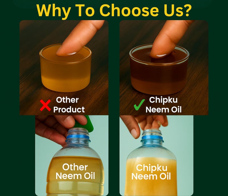 B Natural Organic Neem Oil for Plants 250ml With Free Spray Gun Concentrate Cold Pressed Water Soluble Formula for Garden & Home Plants For Making 50 Neem Spray Bottles - Image 4