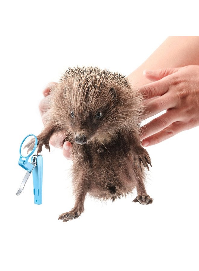 Mudder Small Animal Grooming Kit: 2 Pcs Hedgehog Supplies Hedgehog Accessories Hedgehog Bathing Brush with Nail Toenail Clipper with Magnifier for Pet Hamster Guinea Pig Rabbit Cat Kitten - Image 2