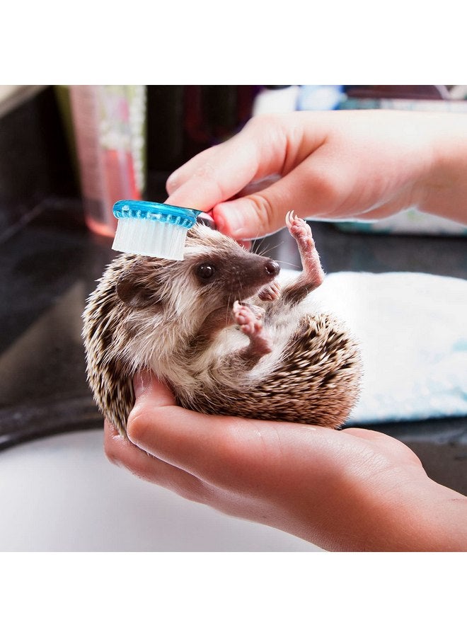 Mudder Small Animal Grooming Kit: 2 Pcs Hedgehog Supplies Hedgehog Accessories Hedgehog Bathing Brush with Nail Toenail Clipper with Magnifier for Pet Hamster Guinea Pig Rabbit Cat Kitten - Image 1