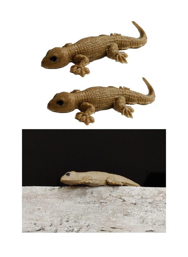 GIRLYZ Attire Brown Lizard Chipkali Toys House Gecko Rubber Practical Jokes and Prank Trick Toys Real Looking Lizard (Pack of (12) - Image 1