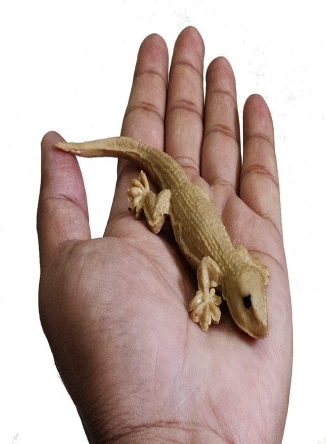 GIRLYZ Attire Brown Lizard Chipkali Toys House Gecko Rubber Practical Jokes and Prank Trick Toys Real Looking Lizard (Pack of (12) - Image 3