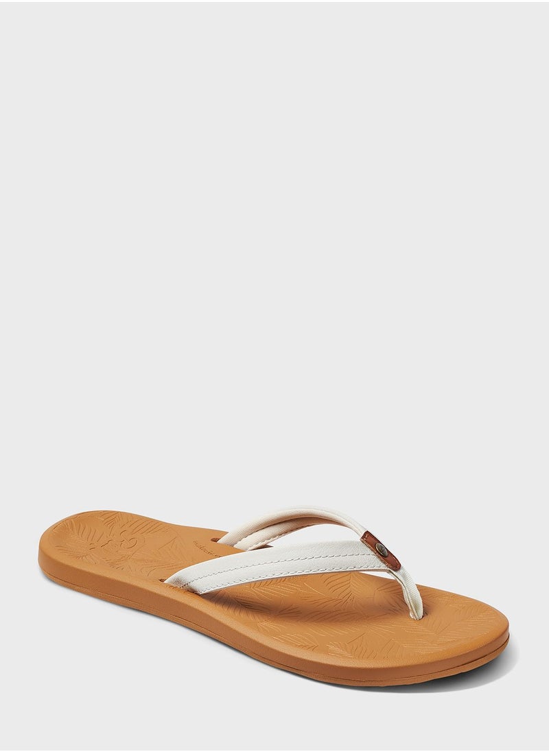 Reef - Reef Tides - Image 1