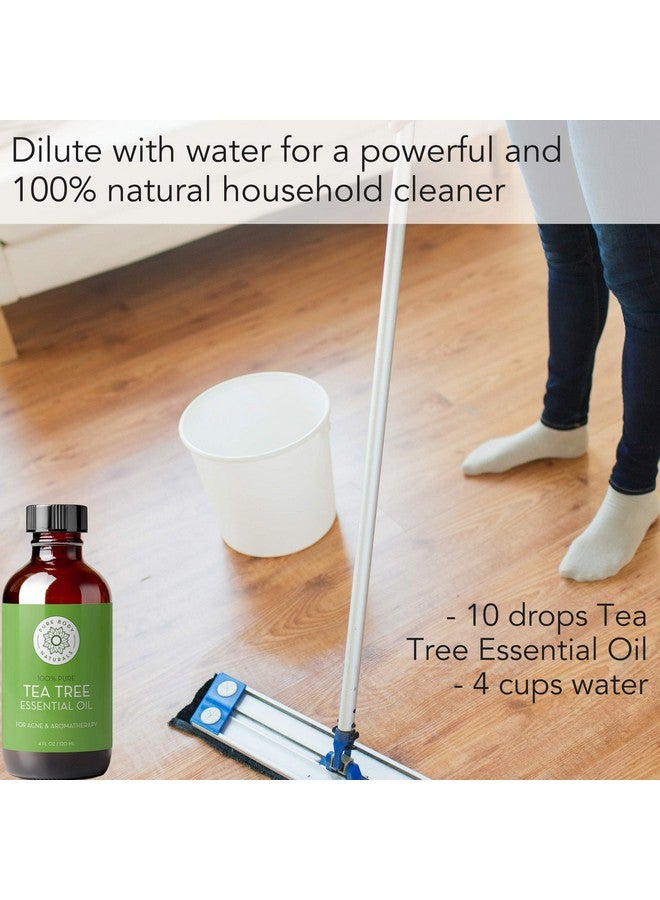 بيور بدي ناتشورالز زيت شجرة الشاي العطري من بيور بودي ناتشورالز، 4 أونصة سائلة مع قطارة - غير مخفف، درجة علاجية للوجه والبشرة والشعر وناشر - زيت ميلاليوكا نقي 100% لعلاج حب الشباب وأظافر القدمين - Image 3