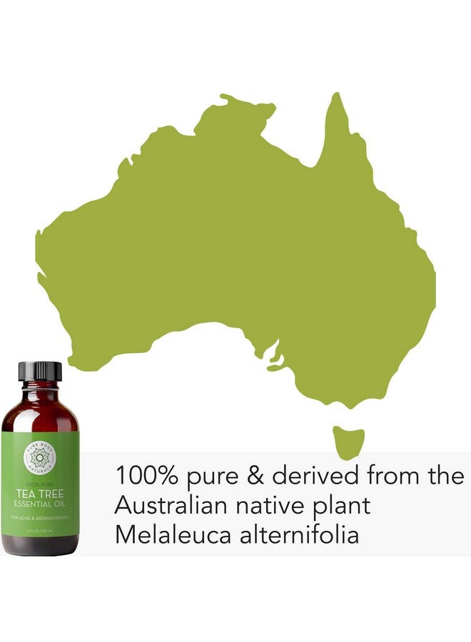 بيور بدي ناتشورالز زيت شجرة الشاي العطري من بيور بودي ناتشورالز، 4 أونصة سائلة مع قطارة - غير مخفف، درجة علاجية للوجه والبشرة والشعر وناشر - زيت ميلاليوكا نقي 100% لعلاج حب الشباب وأظافر القدمين - Image 4