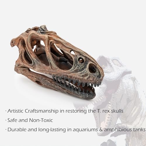 Kocris Casa Fish Hideout Aquarium Décor Decorations Dinosaur Skull Fish Tank Decor Cave Dinosaur Skull Betta Animal Halloween Large Tarantula Reptile Bones Snake for Terrarium Ornament - Image 4
