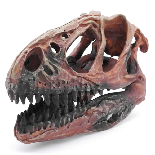 Kocris Casa Fish Hideout Aquarium Décor Decorations Dinosaur Skull Fish Tank Decor Cave Dinosaur Skull Betta Animal Halloween Large Tarantula Reptile Bones Snake for Terrarium Ornament - Image 1