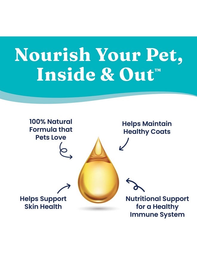 solid gold - Fish Oil For Dogs & Cats  Wild Alaskan Salmon Oil For Dogs Skin And Coat Support  Omega 3 Pollock Oil Blend And Fatty Acids With Epa & Dha For Immune System Health  16 Oz Bottle - Image 1