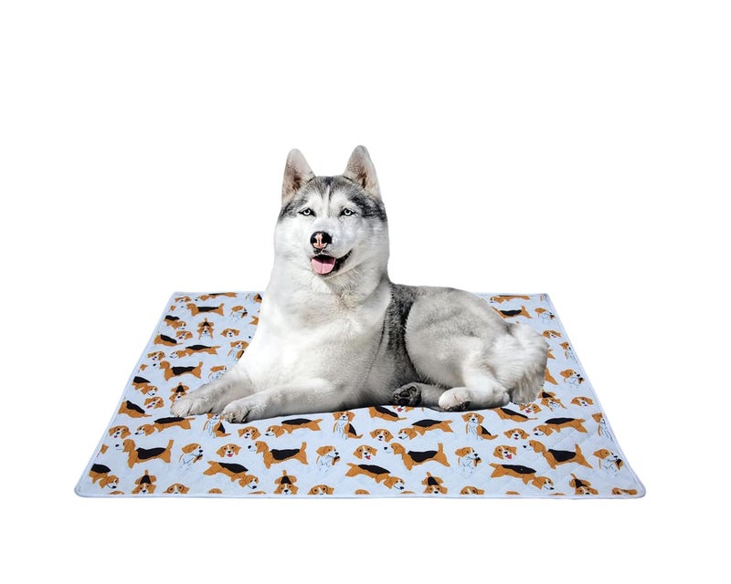 AAZEEM Soft Light Weight Mat for Dogs, Cats & Pets, Skin Friendly Mat| FloorMat | Pet Area Carpet | Anti-Spill 27 X 40 Inches |Golden Color|Large Size| - Image 1
