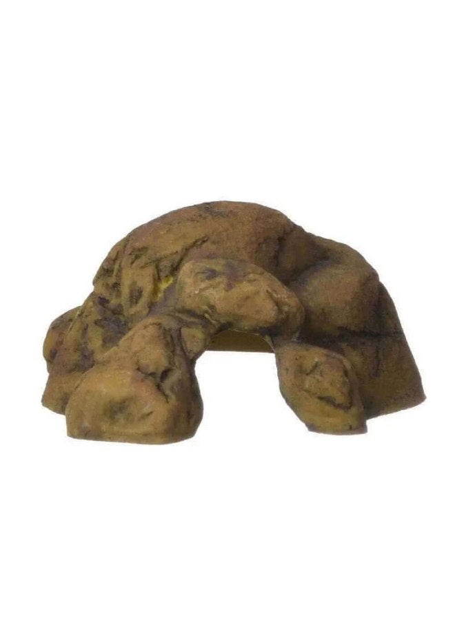 إكسو تيرا كهف الزواحف إكسو تيرا - صغير