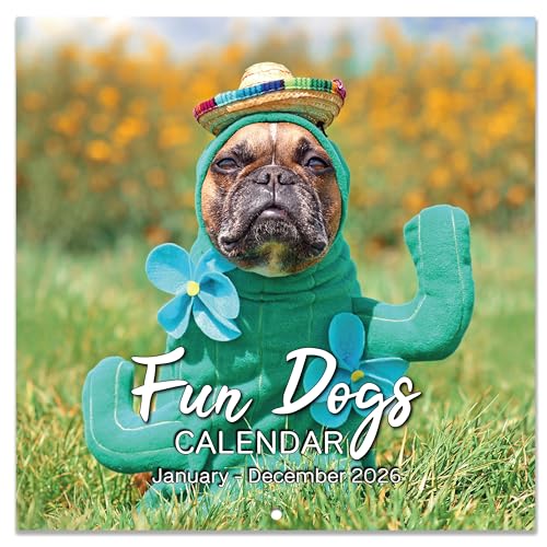 Indeme 2026 Calendar - Cute Puppies Wall Calendar 2026, 12 Months Fun Dogs Calendar, Jan. 2026 - Dec. 2026, 12'' x 12'' (Closed), 12'' x 24'' (Open), Funny Dog Calendar Gag Gifts, Hanging Hole, Holidays - Image 1