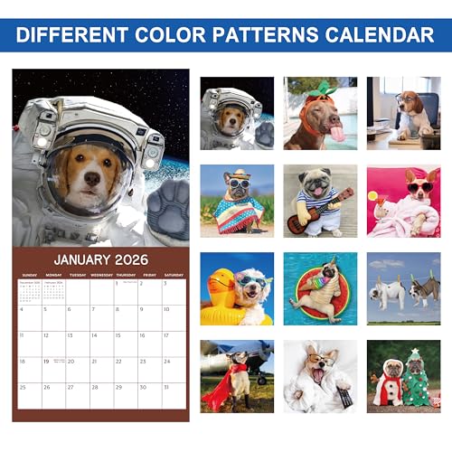 Indeme 2026 Calendar - Cute Puppies Wall Calendar 2026, 12 Months Fun Dogs Calendar, Jan. 2026 - Dec. 2026, 12'' x 12'' (Closed), 12'' x 24'' (Open), Funny Dog Calendar Gag Gifts, Hanging Hole, Holidays - Image 3