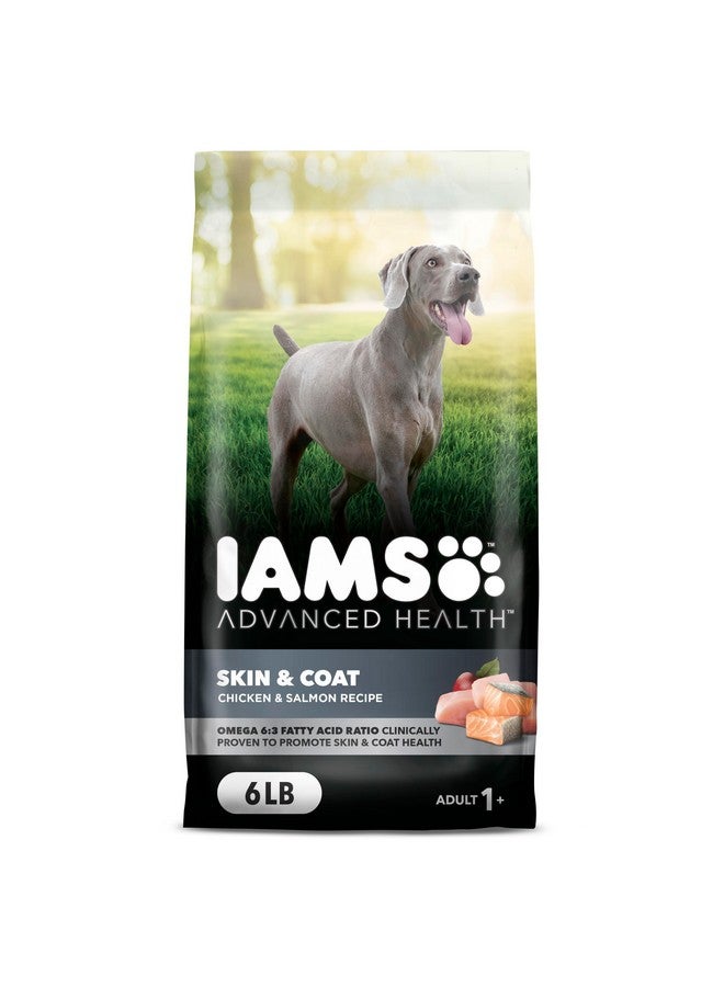 Iams Advanced Health Skin & Coat Adult Dry Dog Food Chicken and Salmon Recipe, 6 lb. Bag - Image 1